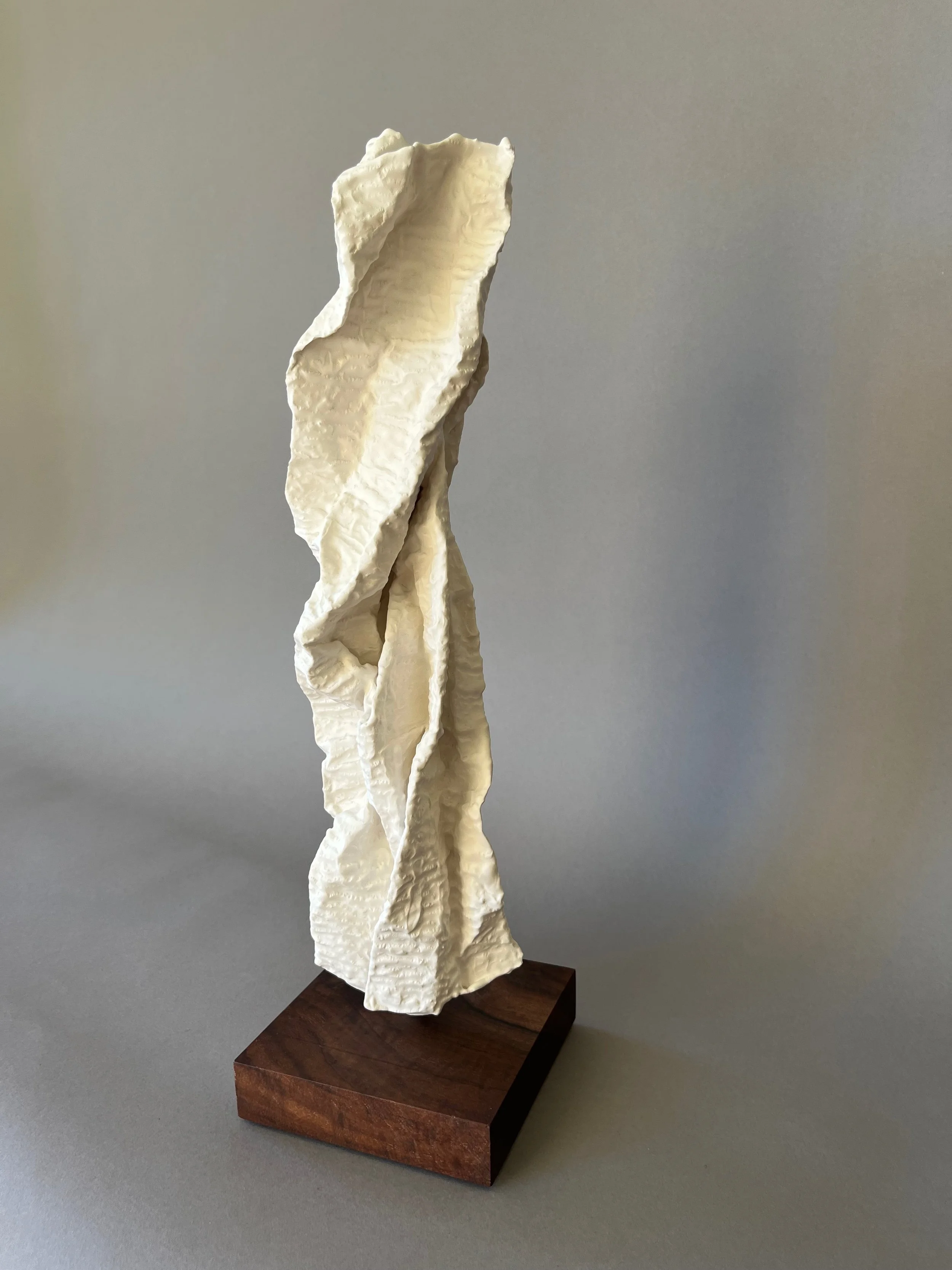 Meandering plaster sculpture by Lutz Hornischer.jpeg