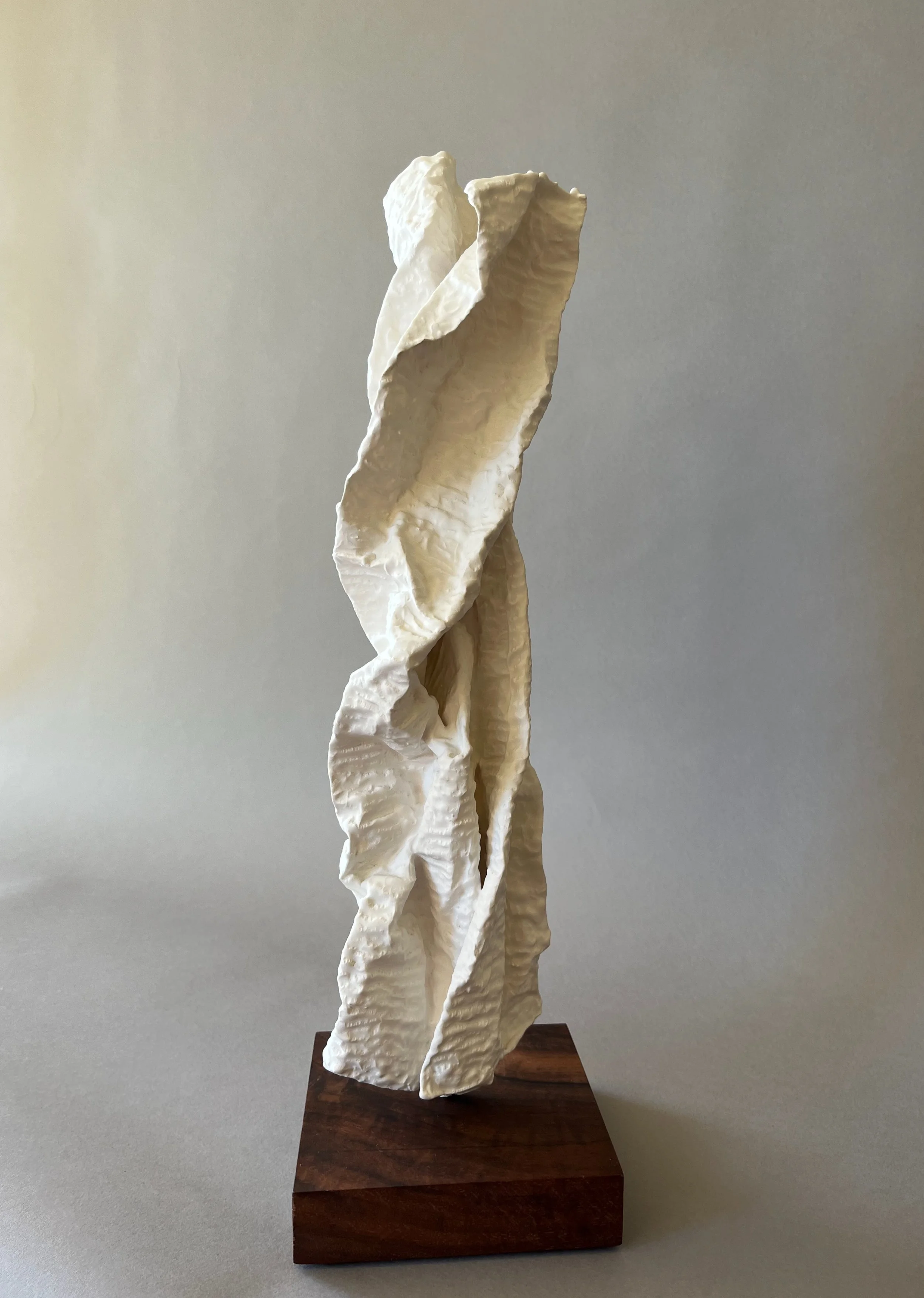 Meandering 5 plaster sculpture by Lutz Hornischer.jpeg