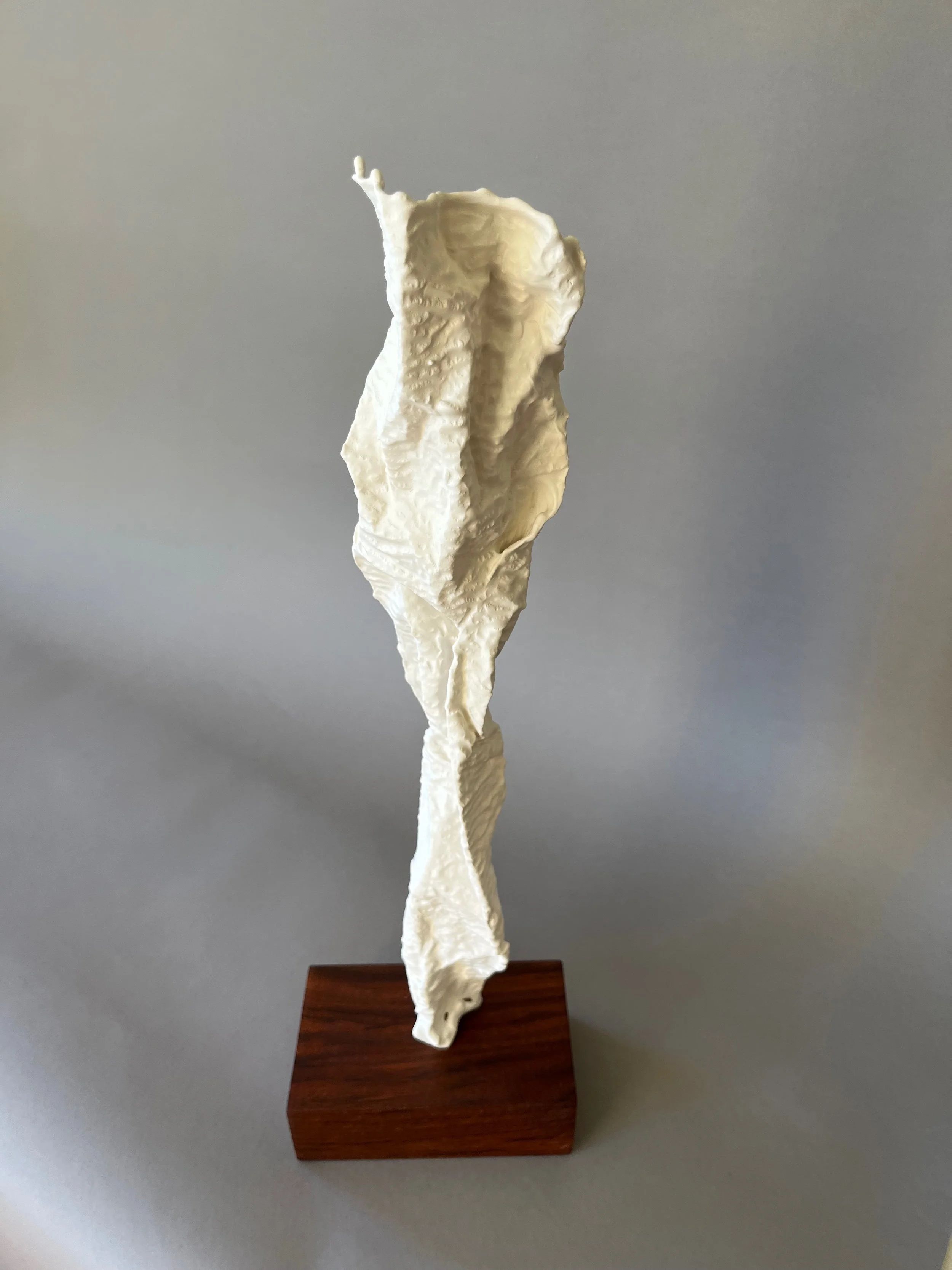 With the Wind 4 sculpture by Lutz Hornischer.jpeg