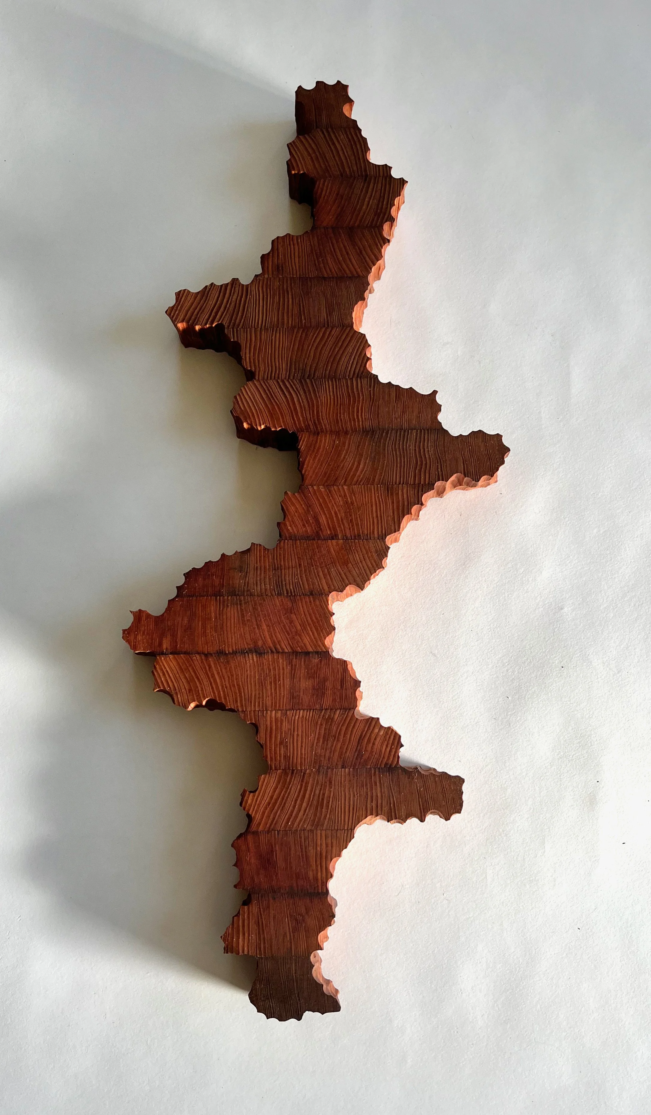 Slice of Nature #1 -2.jpeg