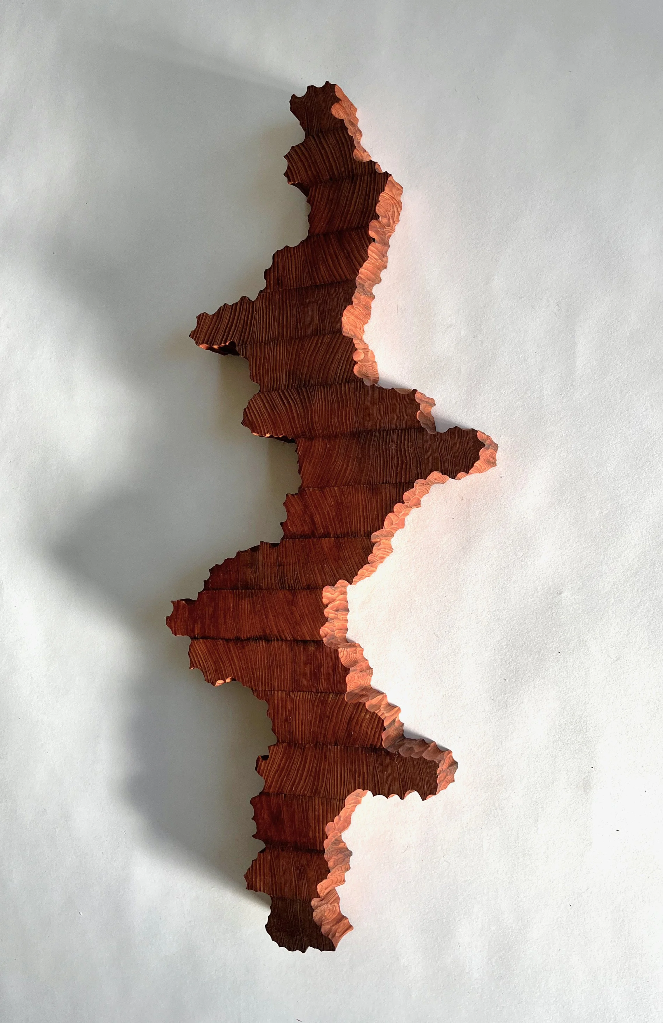 Slice of Nature #1 -3.jpeg