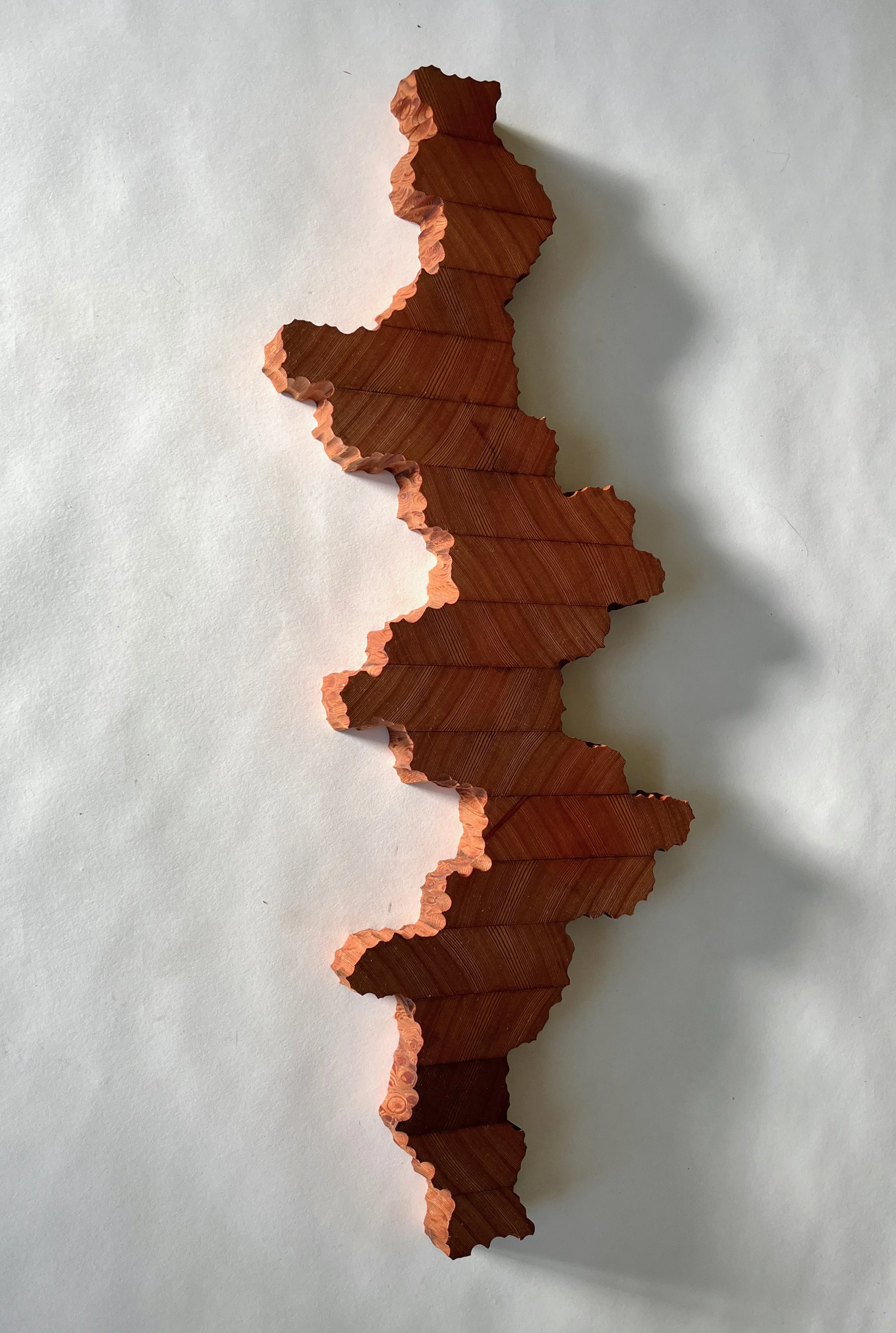 Slice of Nature #2 -3.jpeg