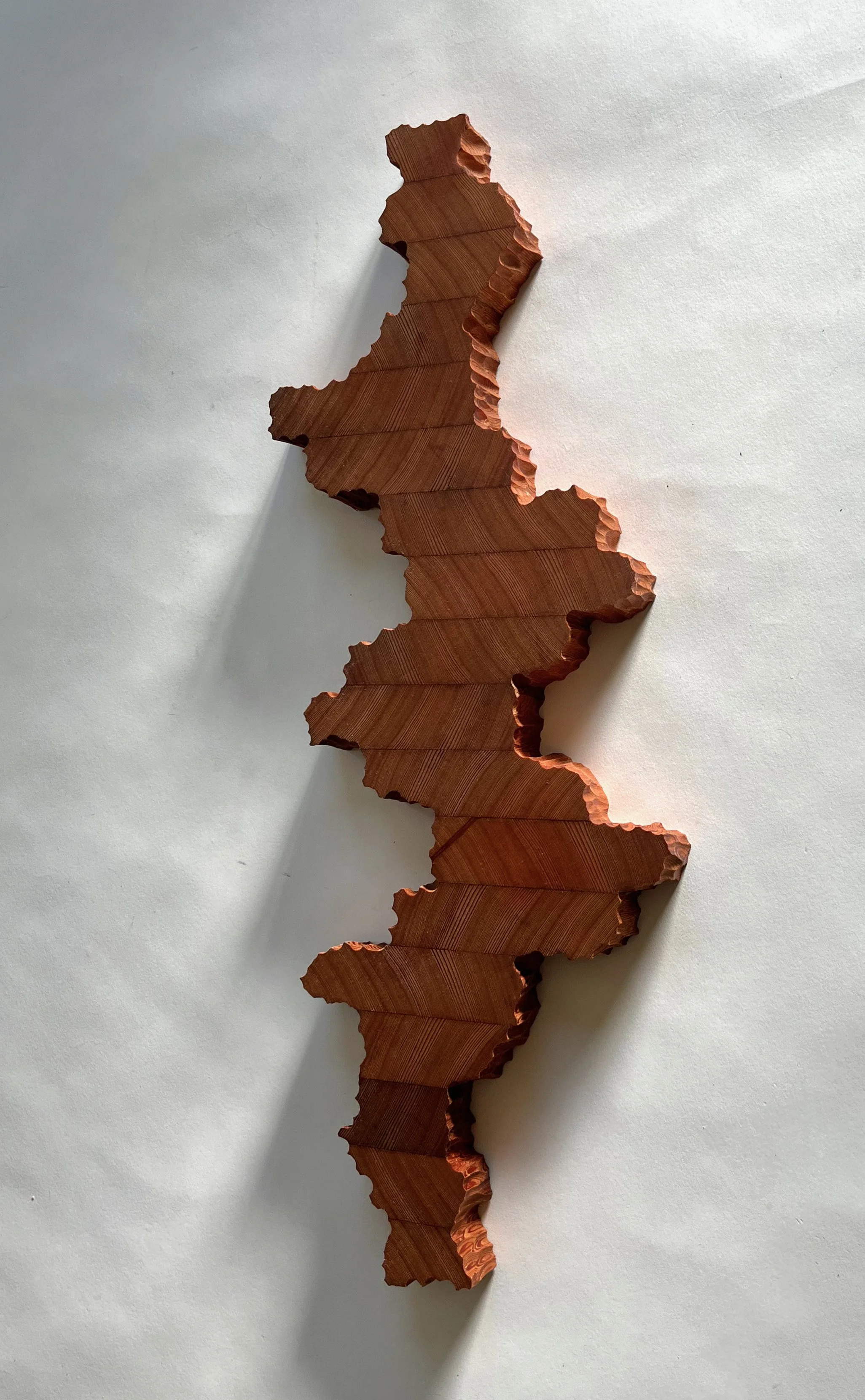 Slice of Nature #2 -2.jpeg