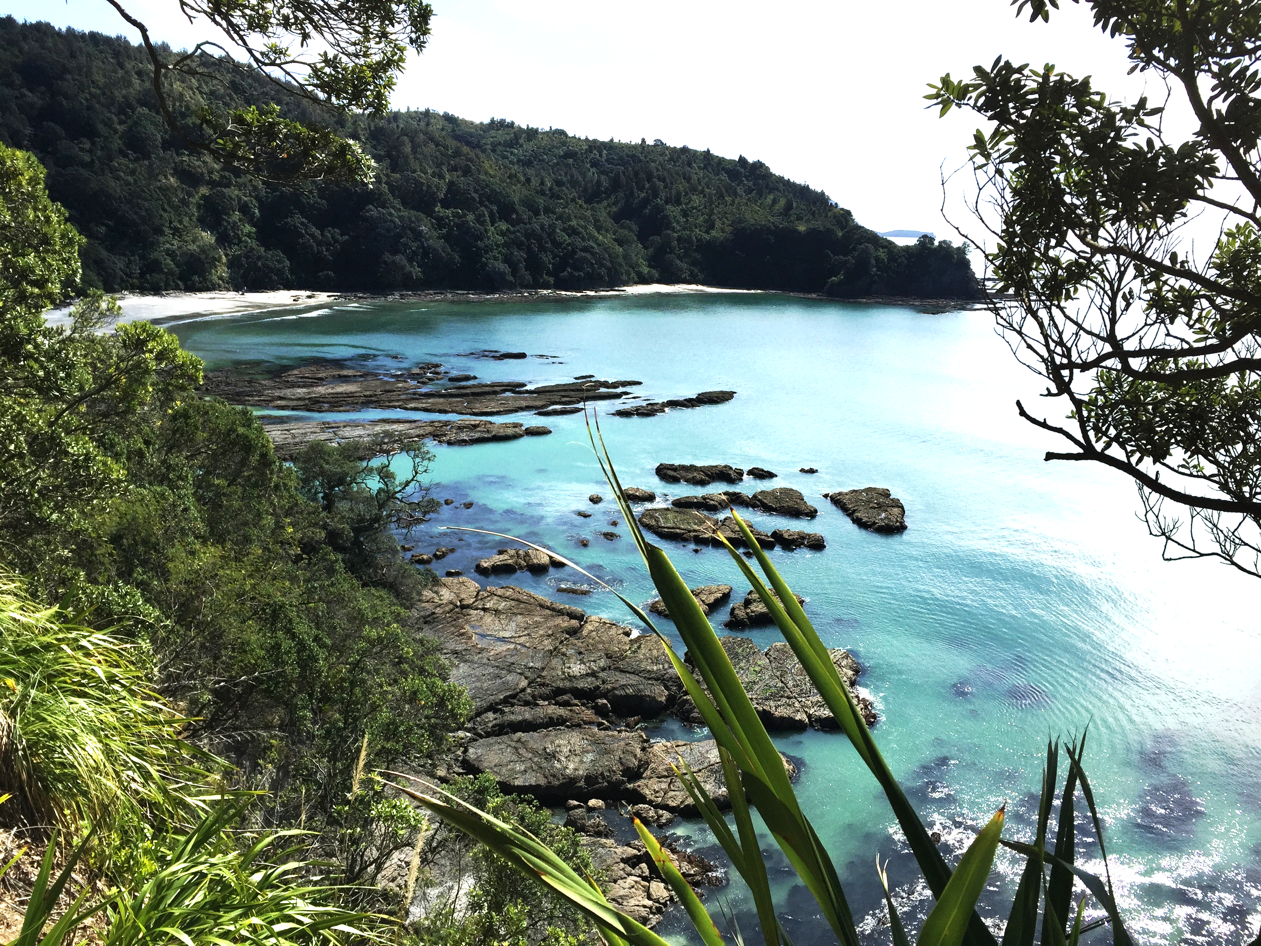 Otarawairere Bay - 10 minute walk from New Zealand's "most loved beach", Ohope. Whakatane offers excellent beaches, bush walks, hunting, fishing and much more