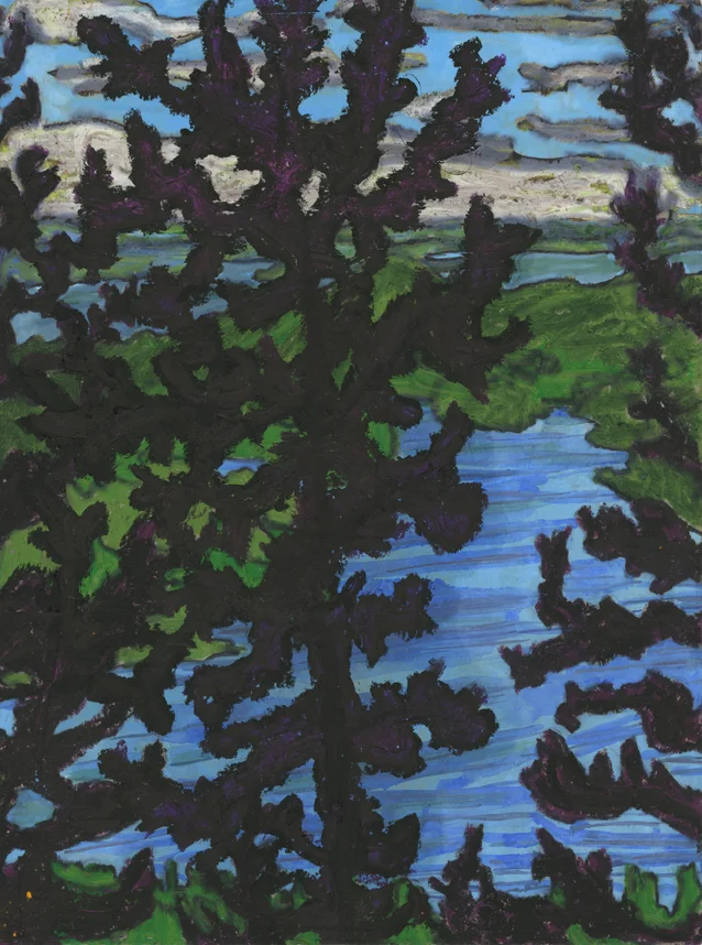 View from Bald Pate Mountain, Bridgton, ME
