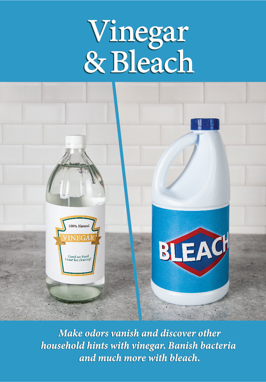 Vinegar&BleachFC-01.jpg