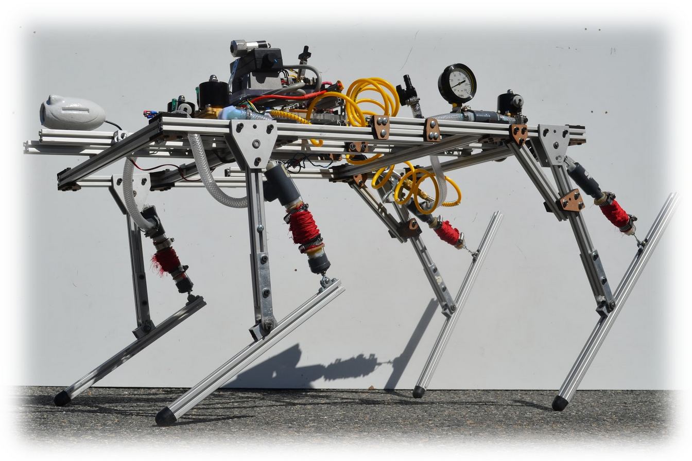 HydroDog