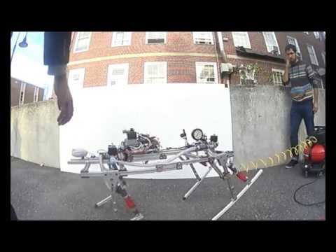 WPI HydroDog "Hop Up" Gait