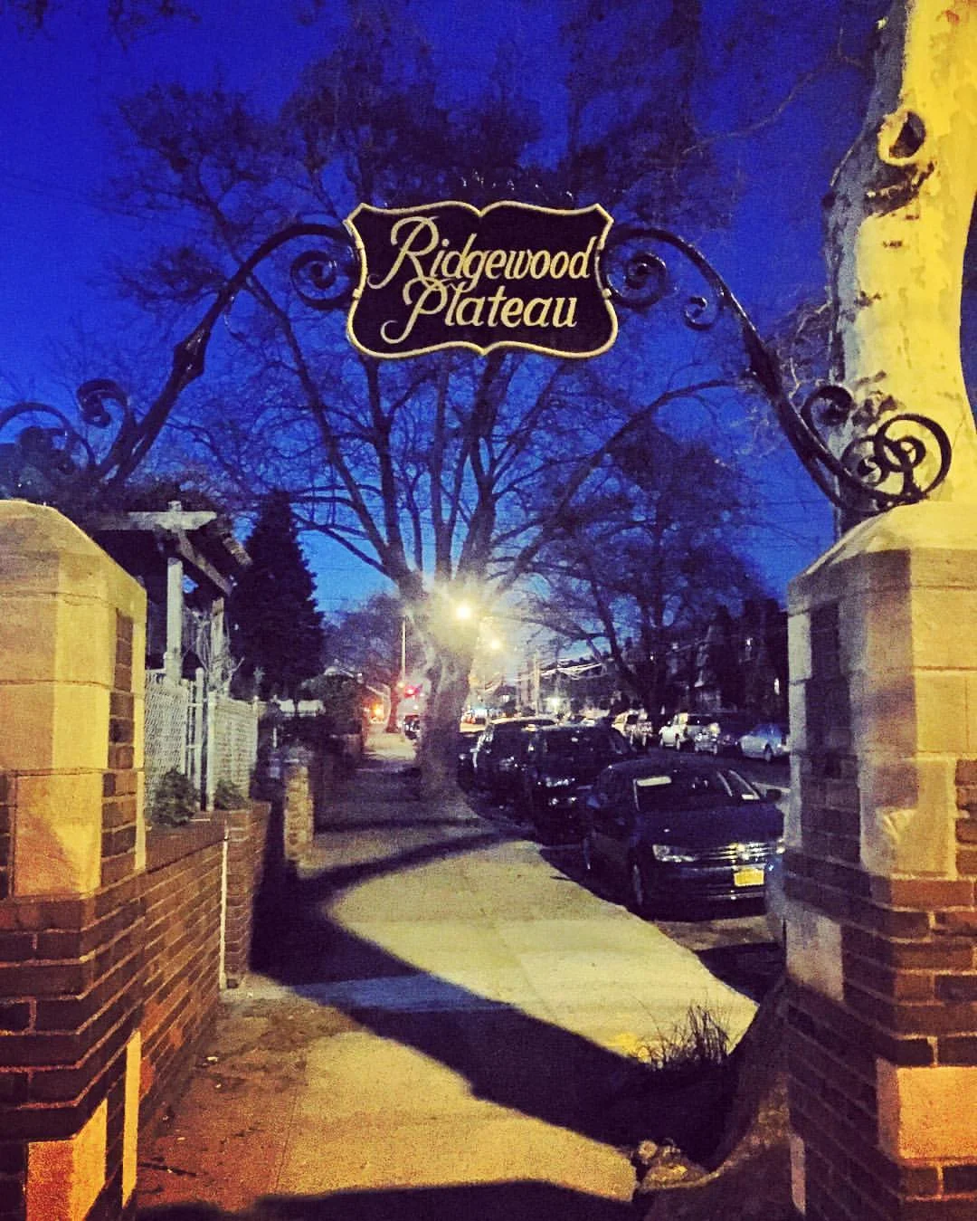 Last night’s walk to O'Neills in Maspeth (Shilelagh Law!) via the “Ridgewood Plateau”. These signs marking the plateau at 65th Place were restored in 2014. According to the Juniper Berry, they were originally there to entice people to move to the neighborhood in the 20s & 30s because apparently Ridgewood was a cooler neighborhood.
#maspethisamerica #maspethqueens #maspethny #queenscapes #queensnyc #queens #heartofqueens (at O'Neills Maspeth)