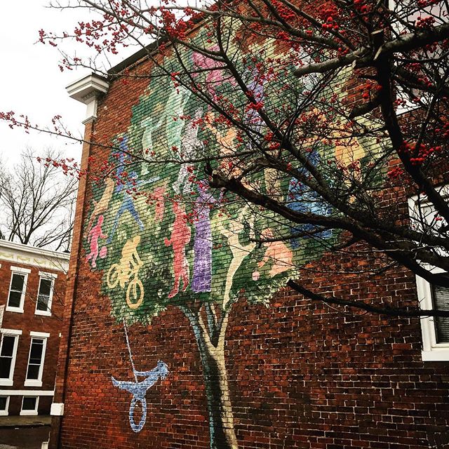 Still a little awestruck that this is our house. 2016 was weird, but we came out on top. .
.
.
.
#home #mural #baltimore #homeowners #streetart #harwoodtreehouse #neighborhoods #thebmorecreatives #dscolor