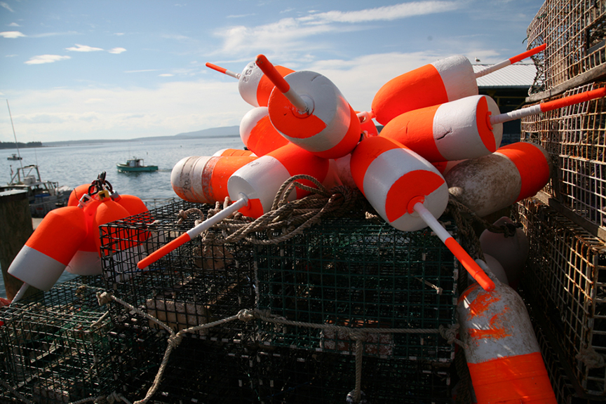  Lobster buoys on the town dock, Little Cranberry Island 