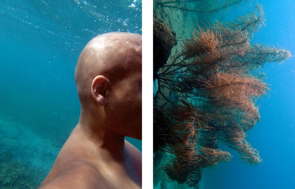 Nadia Huggins, "Transformations 2" (2015). Courtesy of PRIZM.