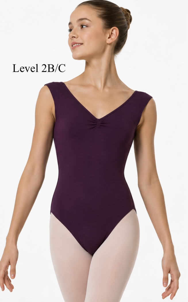 Level 2B:C.png