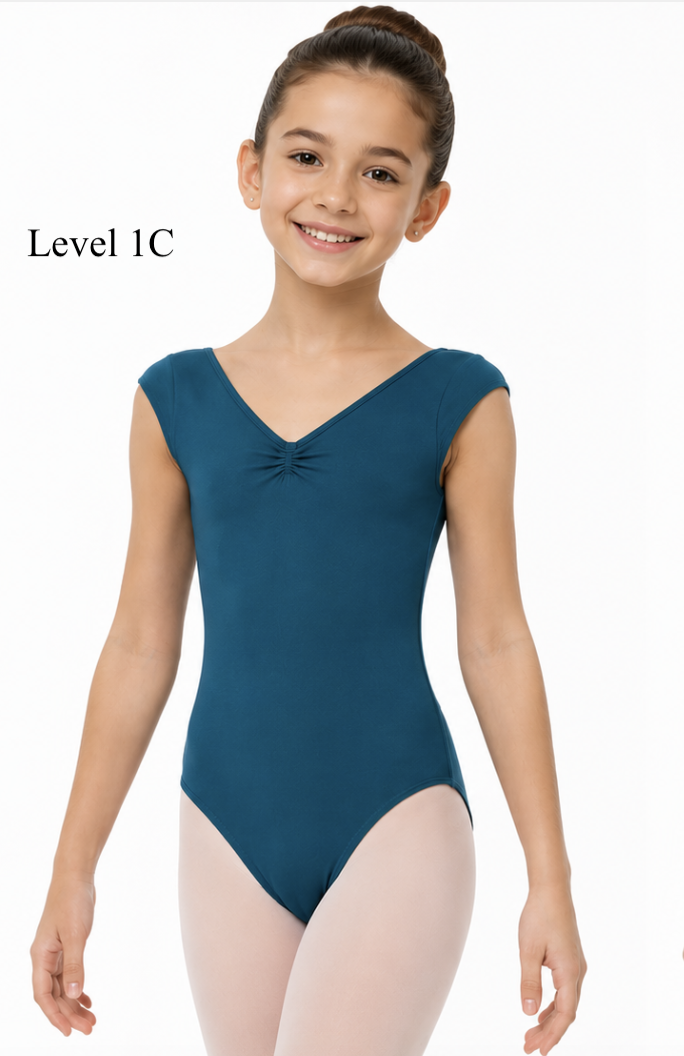 Level 1C.png