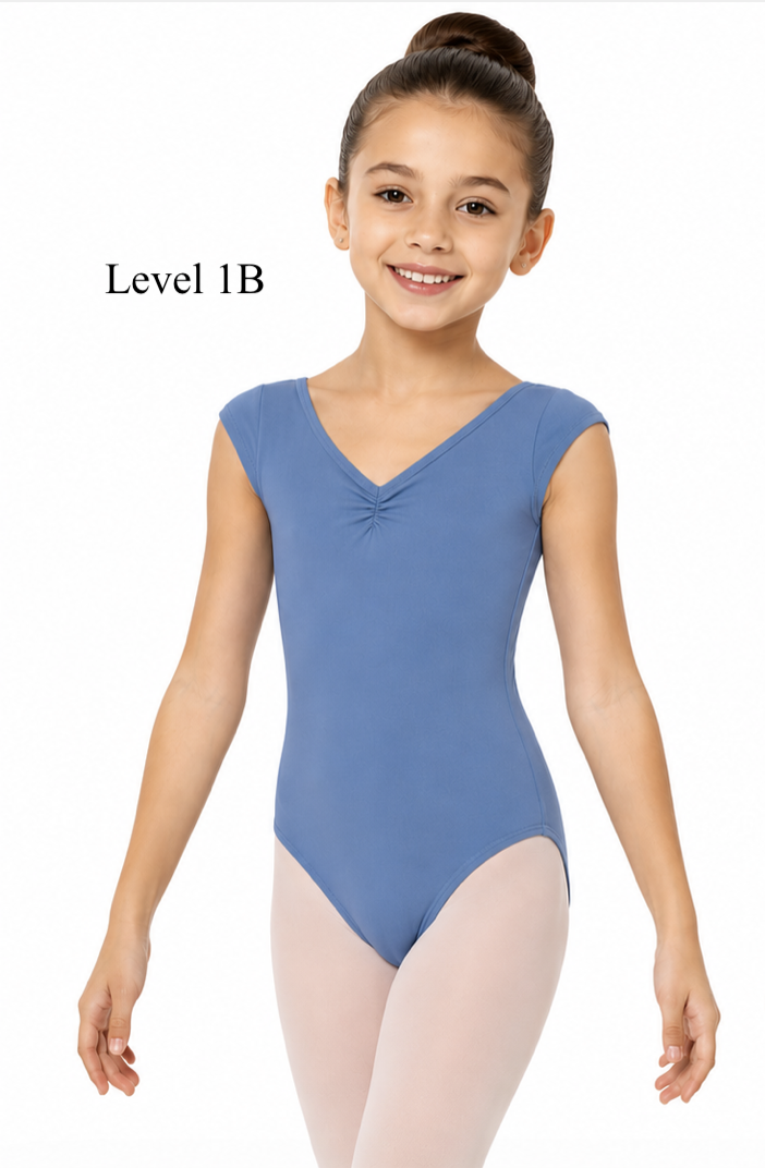 Level 1B.png
