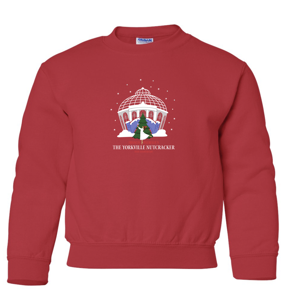 Dances Patrelle Sweatshirt - Youth