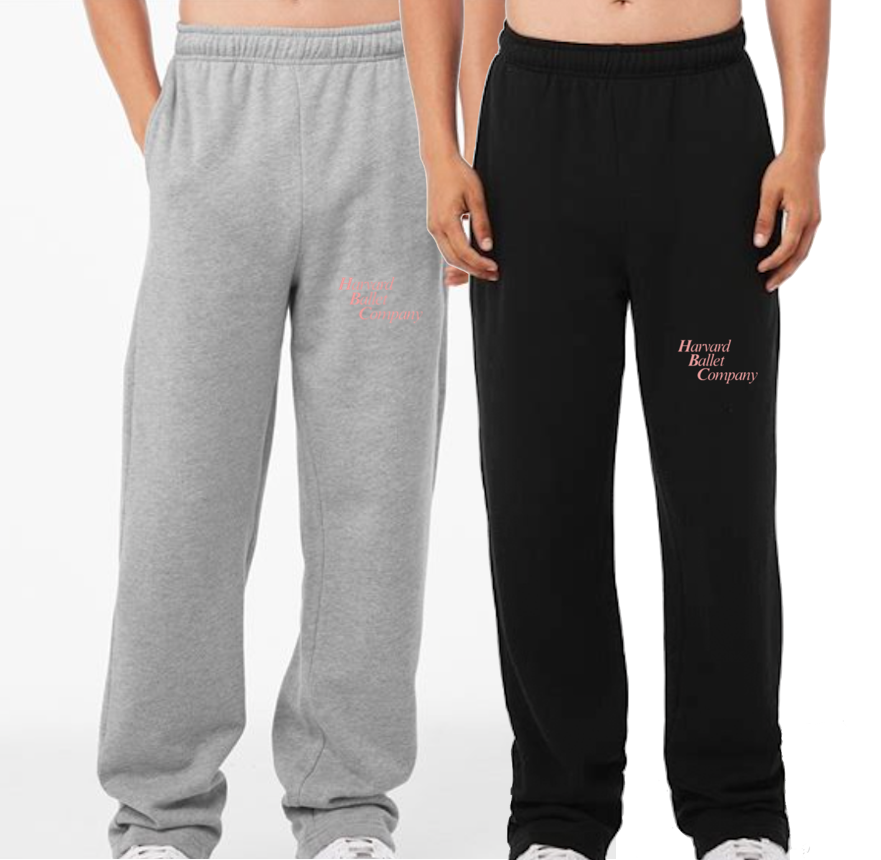 Harvard Ballet Company