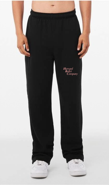 Harvard Ballet Company