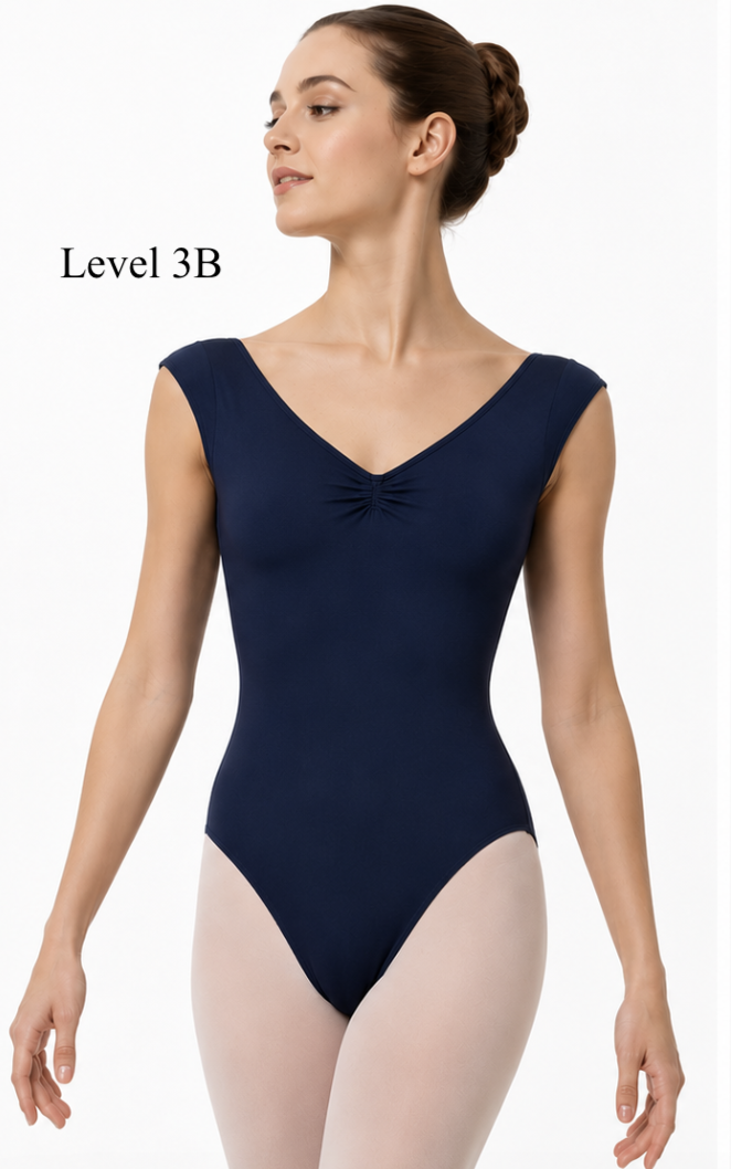 Level 3B.png