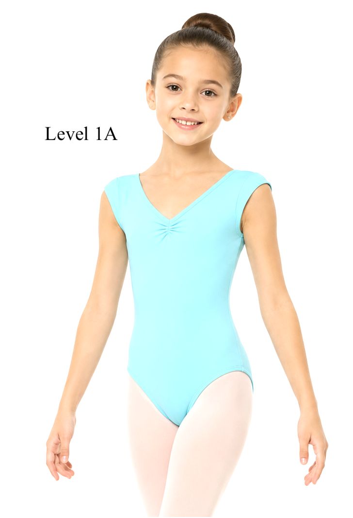 Level 1A.png