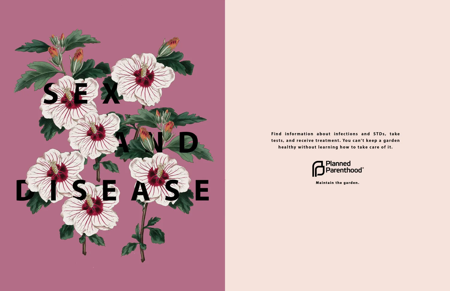 static1.squarespace-2.jpg