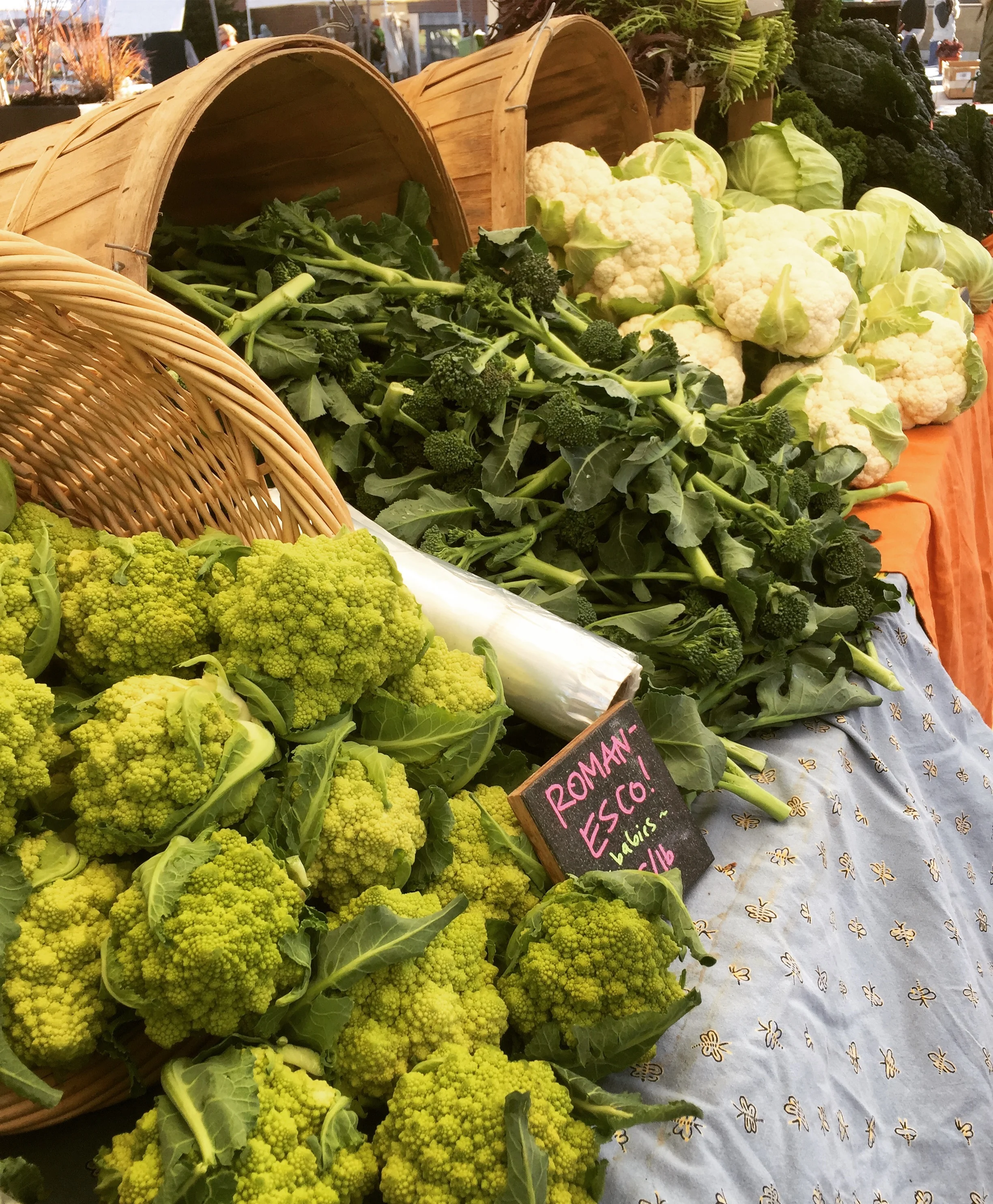 Fall Bounty at the Swarthmore Farmers’ Market
