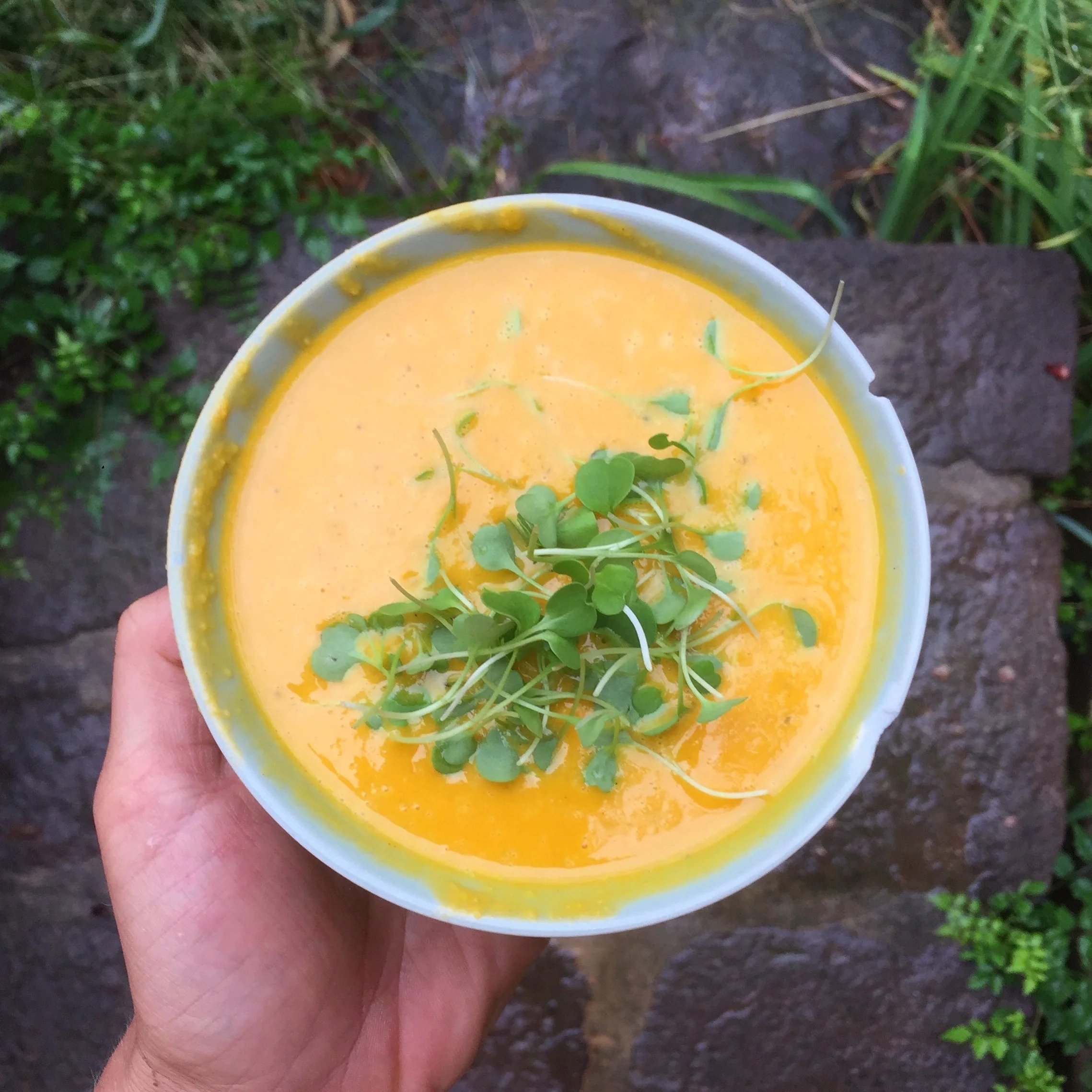 squash soup micros.jpg
