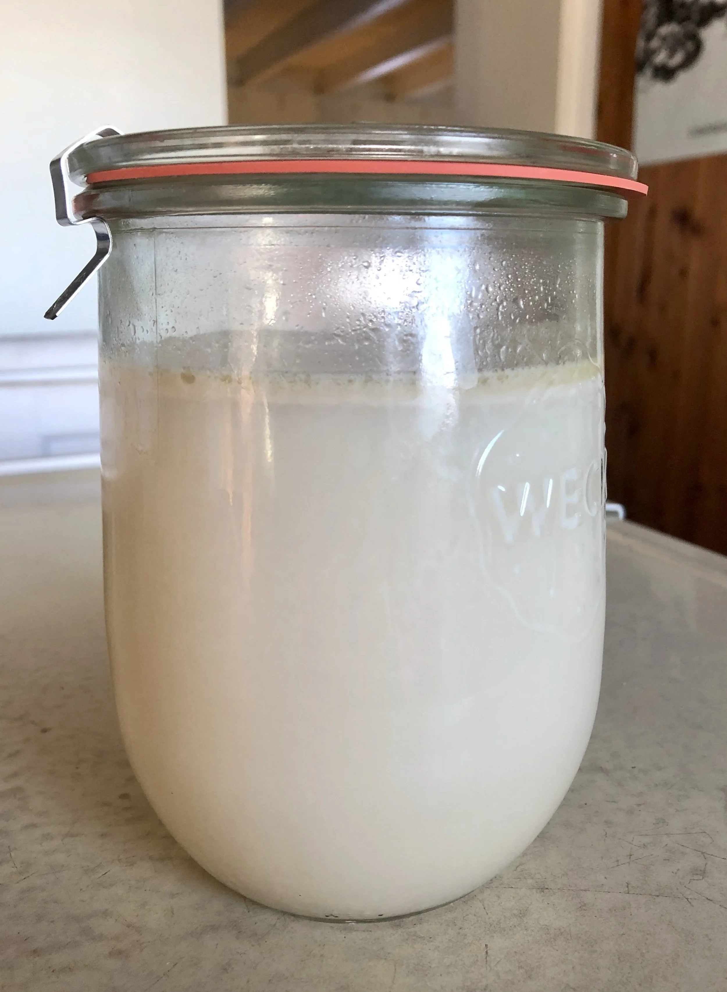 Pressed Hazelnut Milk