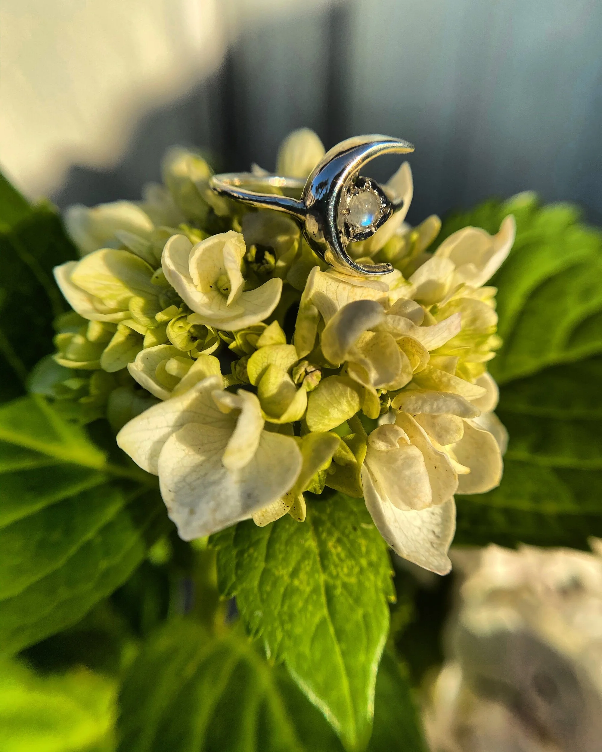 D681B70E-FCED-40A0-8211-EC6B06CBB5A0