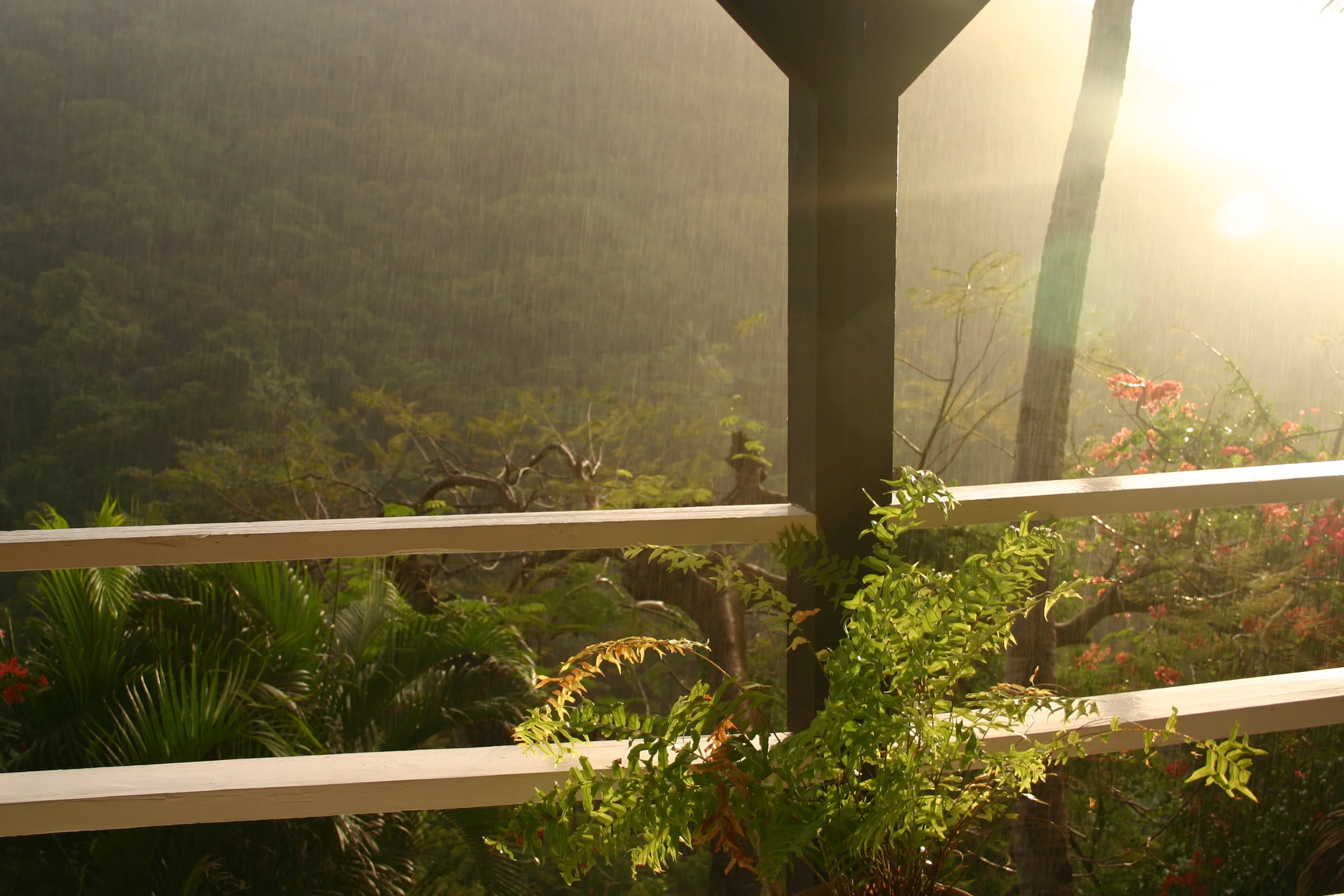 St.Lucia09 069.jpg