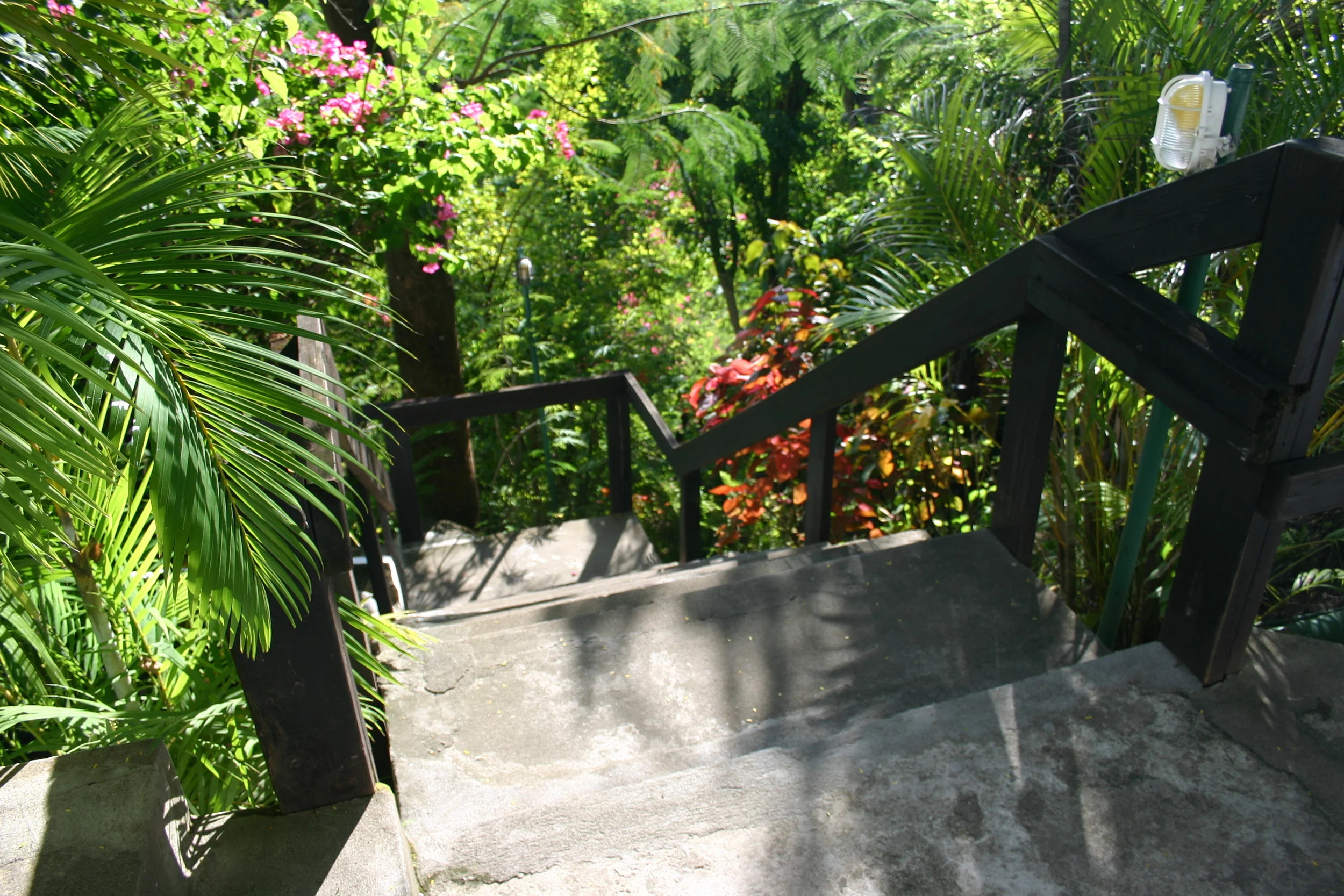 St.Lucia09 402.jpg