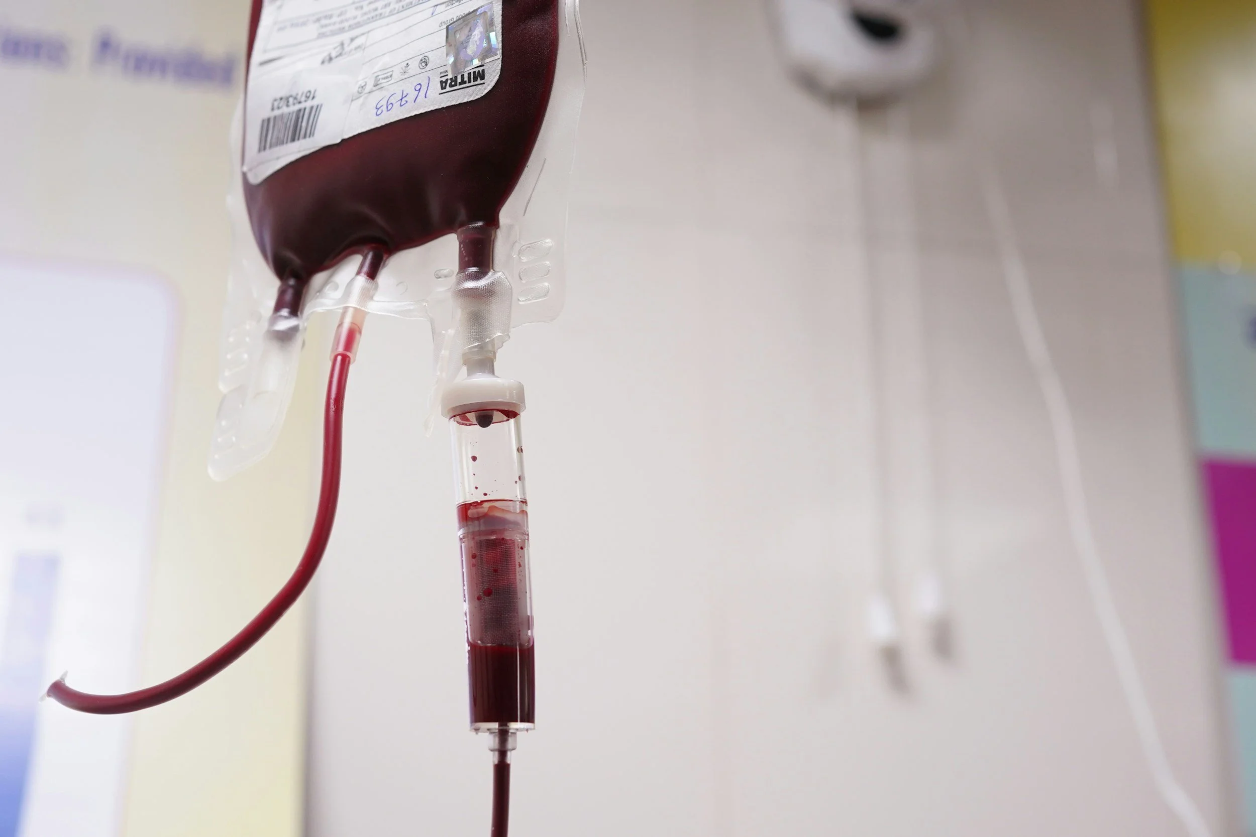 Red Cross Blood Drive
