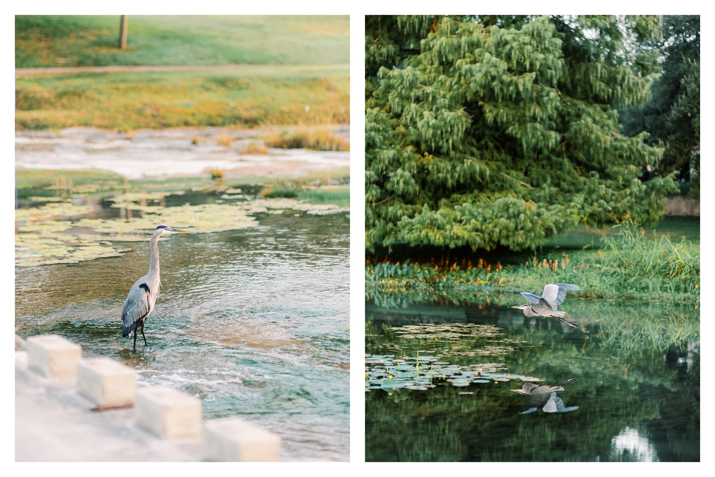 Salado Maternity Session | Fine Art Photography