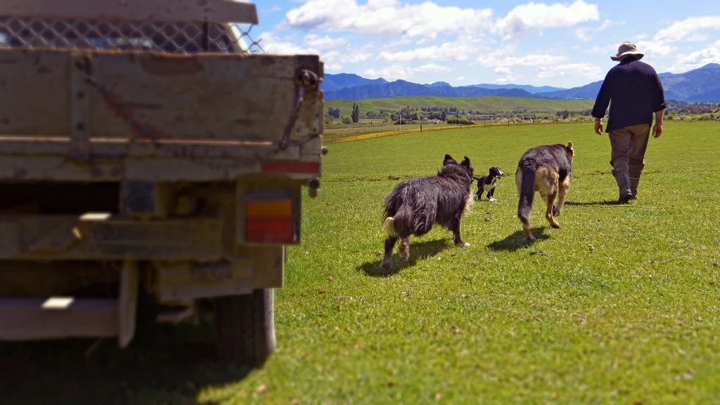 marlborough farm.jpg