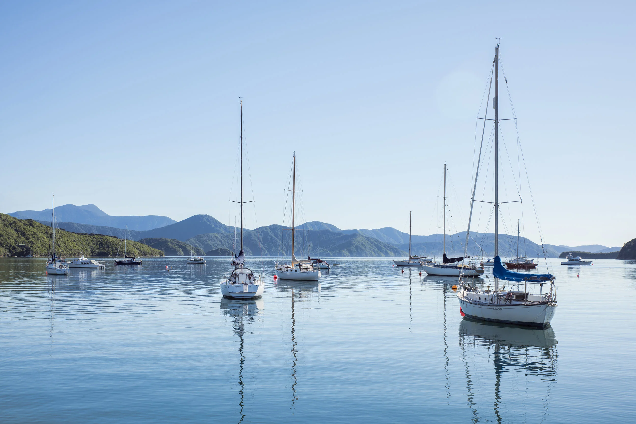 Waikawa Yachts Moored.jpg