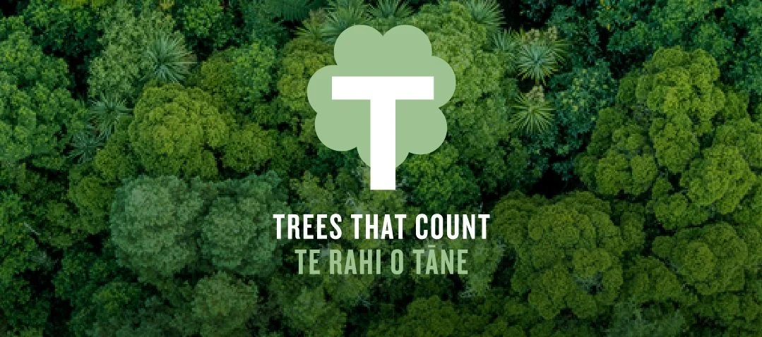 Supporting you and the environment!