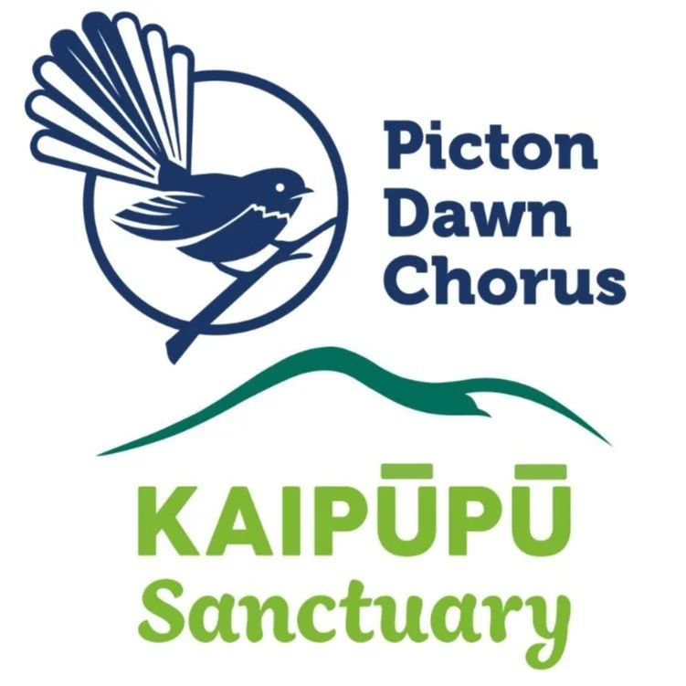 Picton Dawn Chorus