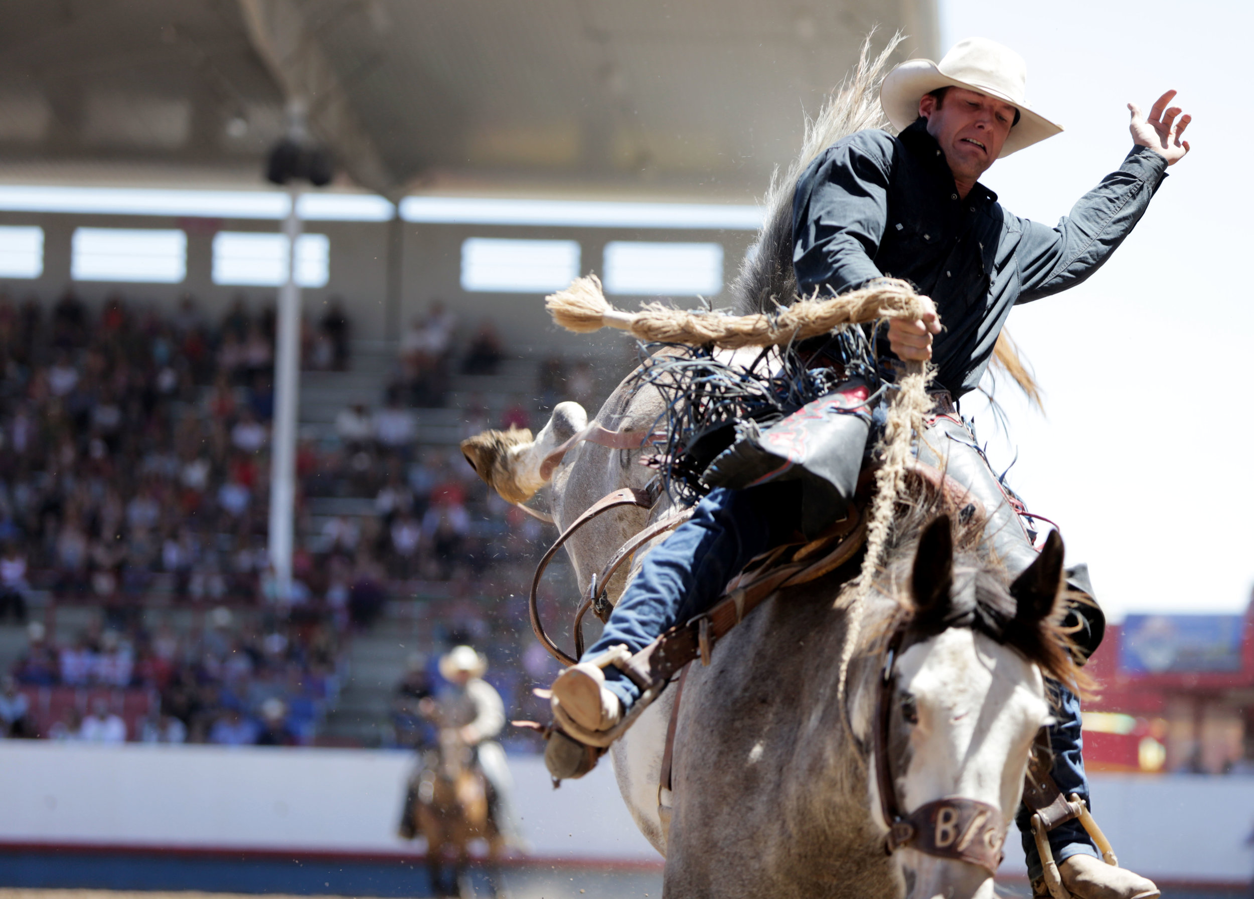 Landon Mecham holds on tight while he competes in the saddle bronc riding competition July 2017, at the Greeley, Colorado, Stampede Rodeo in the Island Grove Arena. 