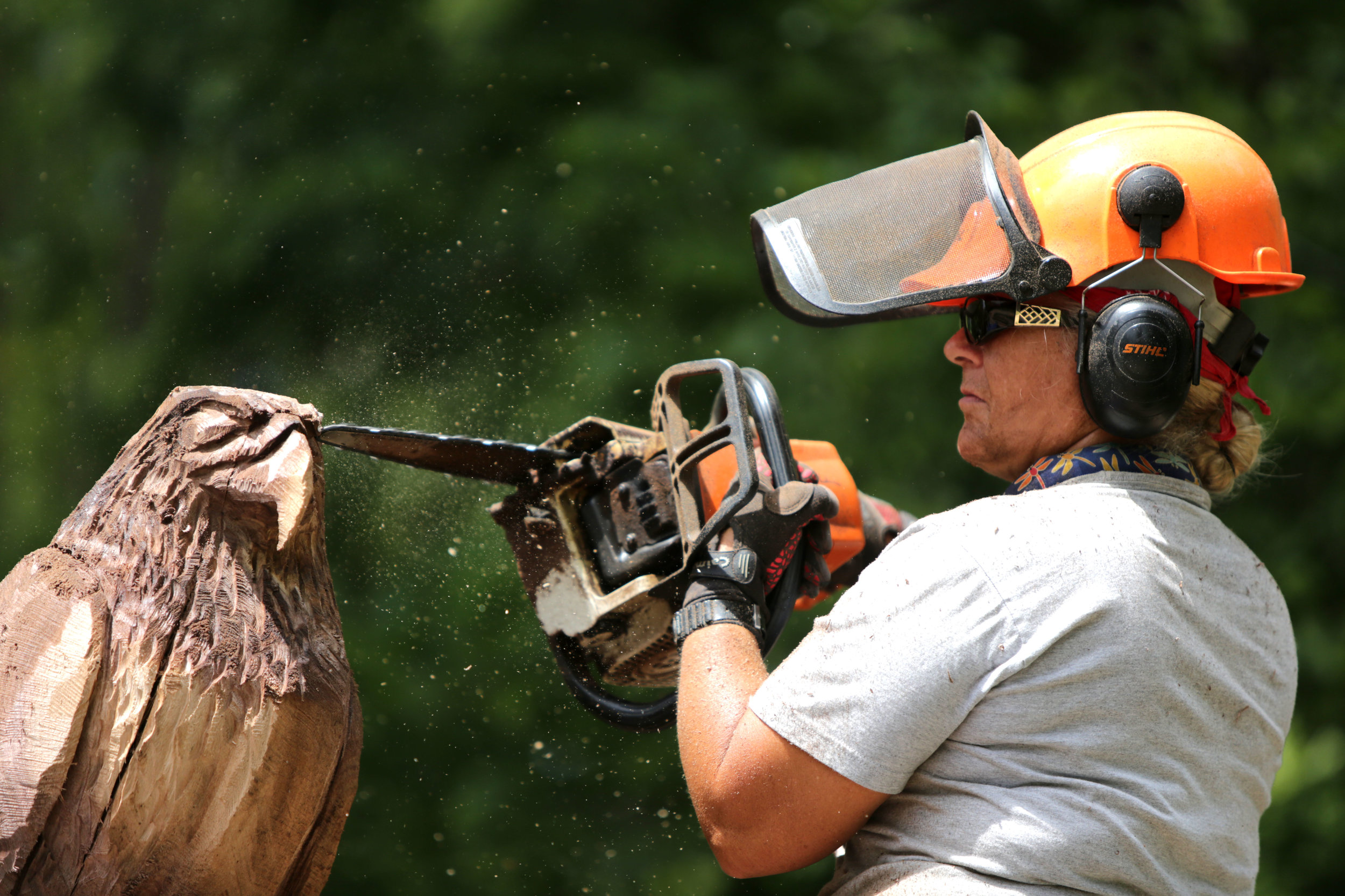 Faye Braaten, a chainsaw carver, works on carving an eagle out of a black walnut tree for Houston Gardens located at 515 23rd Ave., in Greeley, Colorado, July, 2017. Braaten has been carving for seventeen years and owns the store ChainsawMama located at 5641 W Eisenhower Blvd., in Loveland, Colorado (Greeley Tribune Newspaper). 