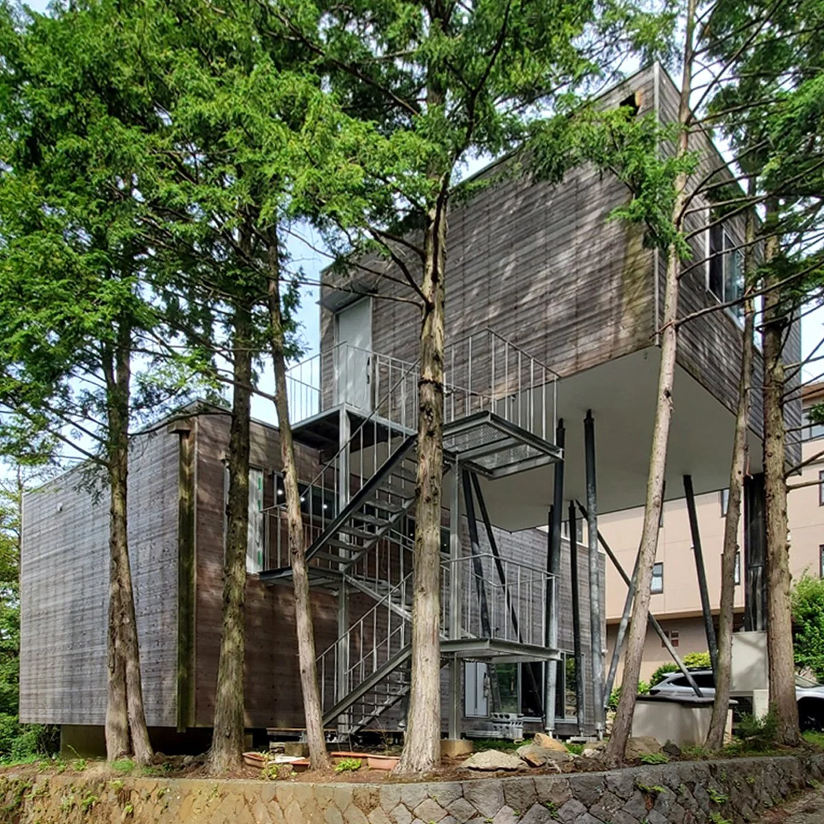 Treetop House