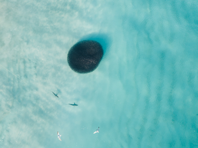DJI_0029.jpg