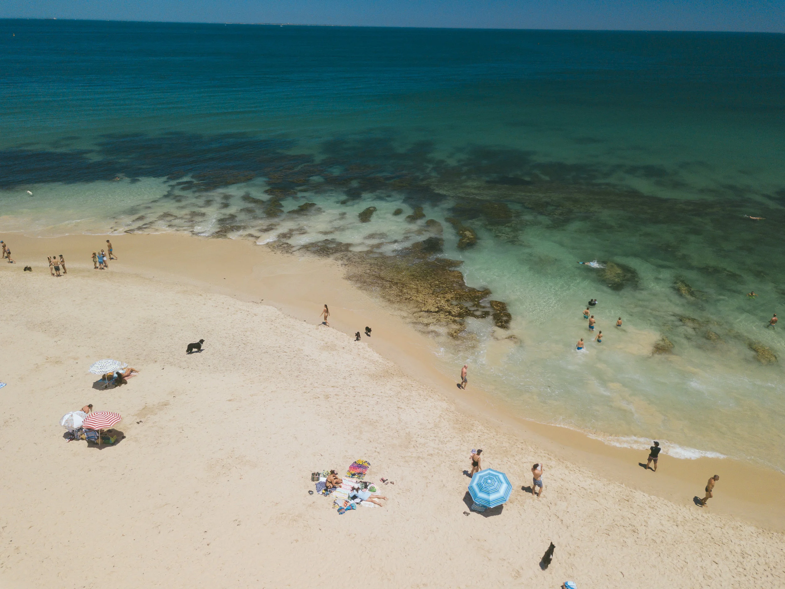 DJI_0143.jpg