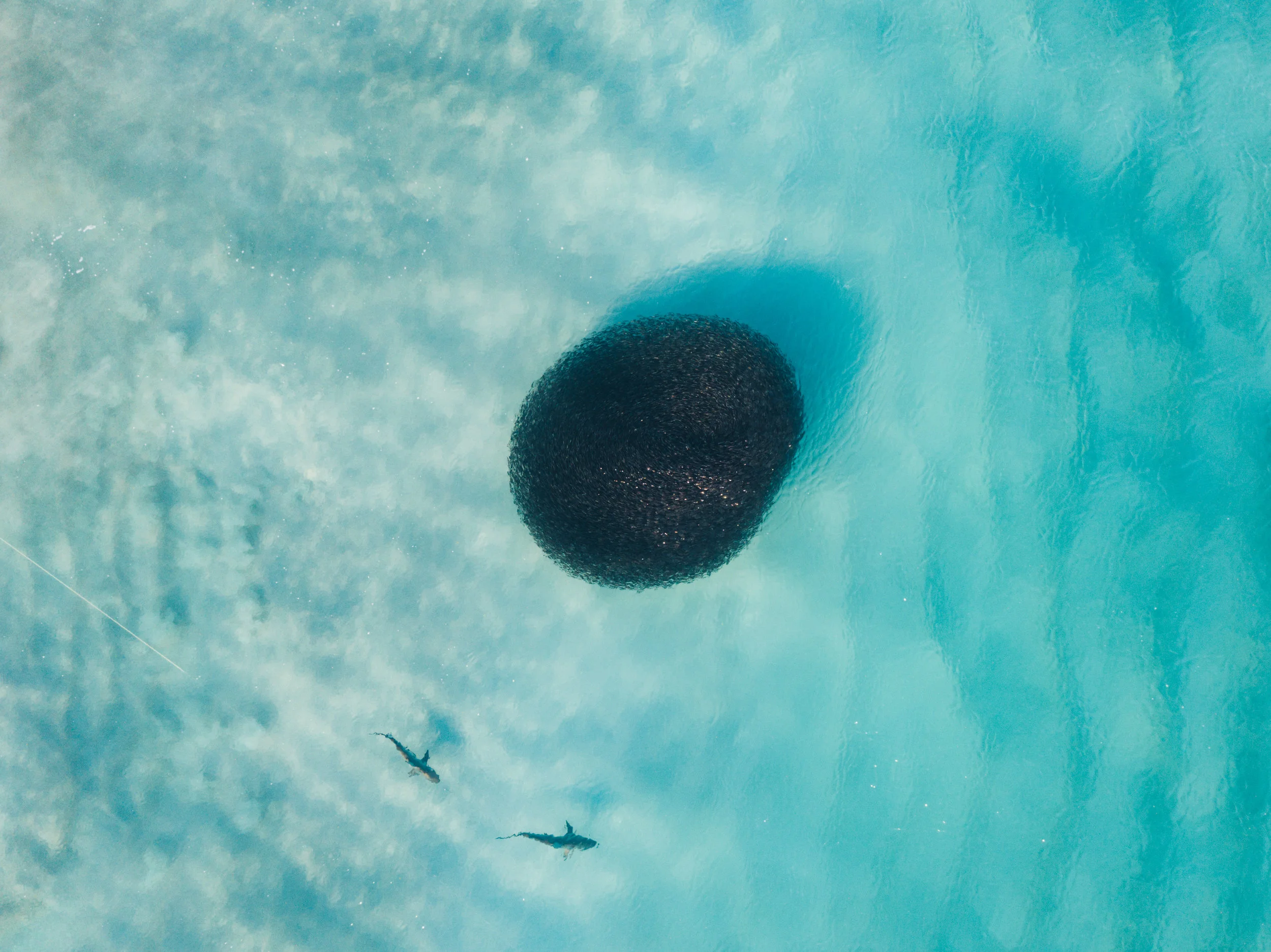 DJI_0029.jpg