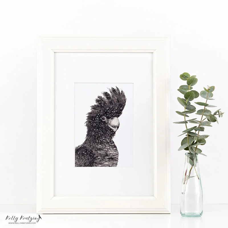 Kelly-Kratzing---Black-Cockatoo.jpg