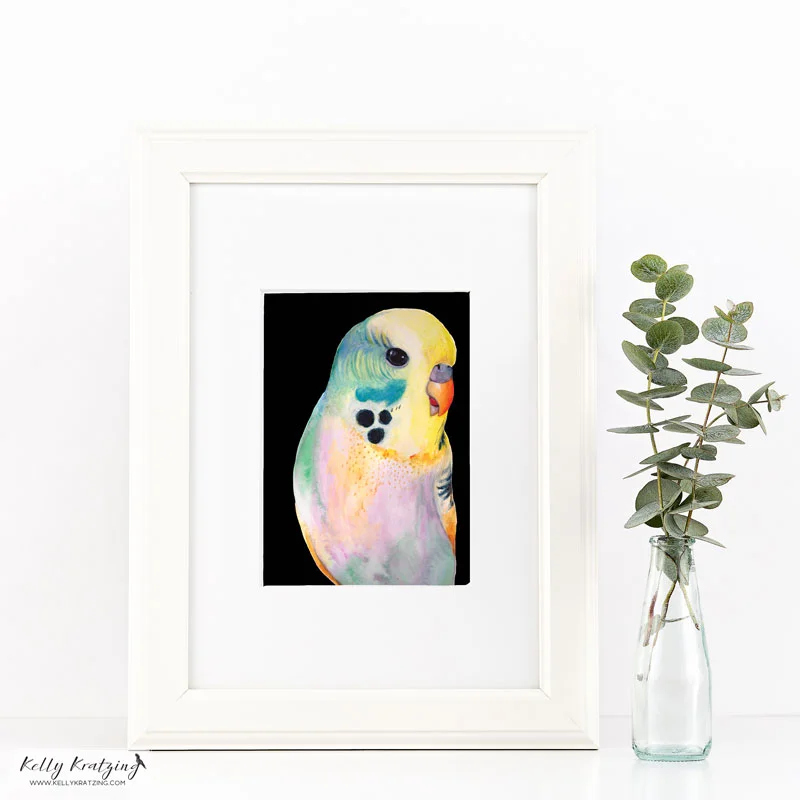 Kelly-Kratzing---Budgerigar-black.jpg
