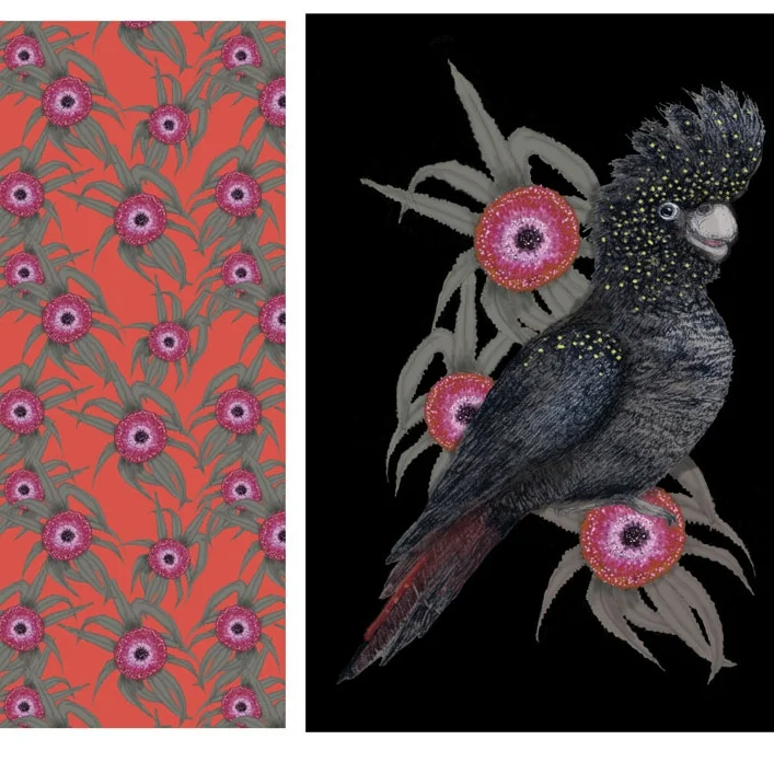 Black Cockatoo and Waratah Collection