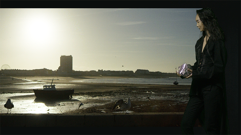 LL Feed Birds 01.gif