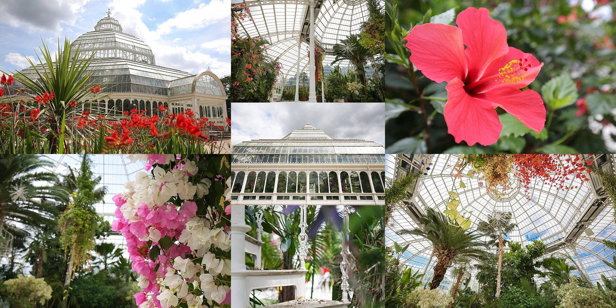 Sefton Palm House 2.jpg