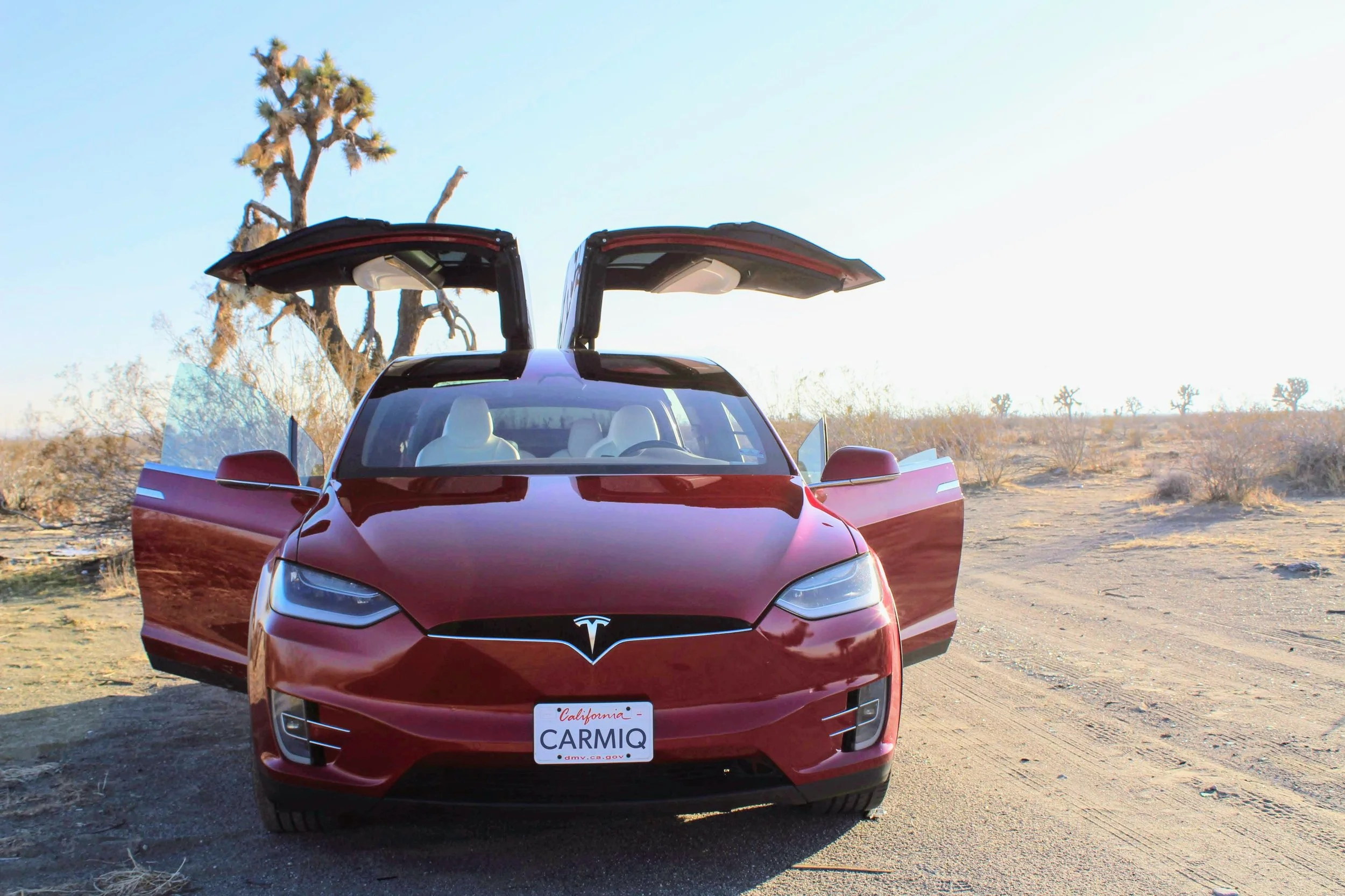 Ruby_Carmiq_Tesloop_License_Plate (1).jpg
