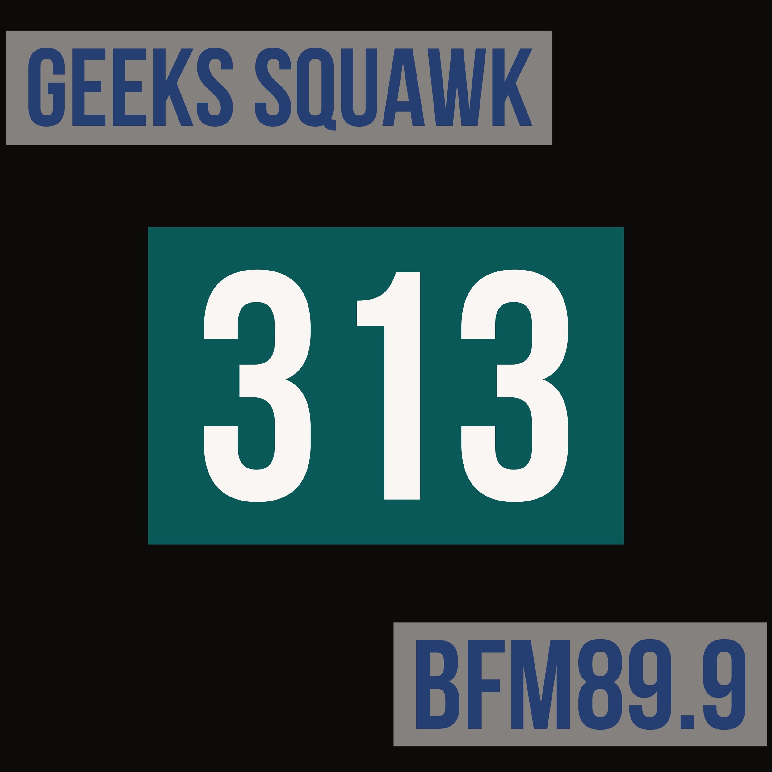 Geeks 313.jpeg